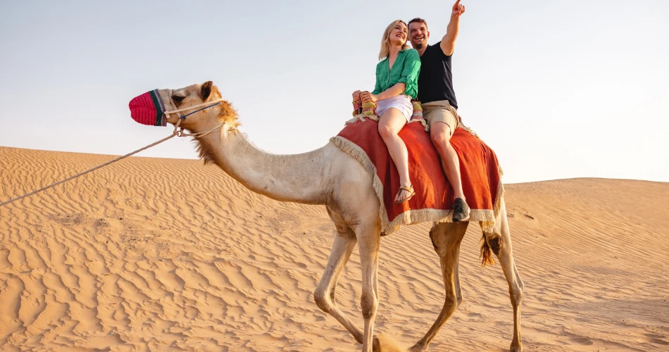 From Camels to Falcons: Traditional Wildlife Encounters in Kuwait