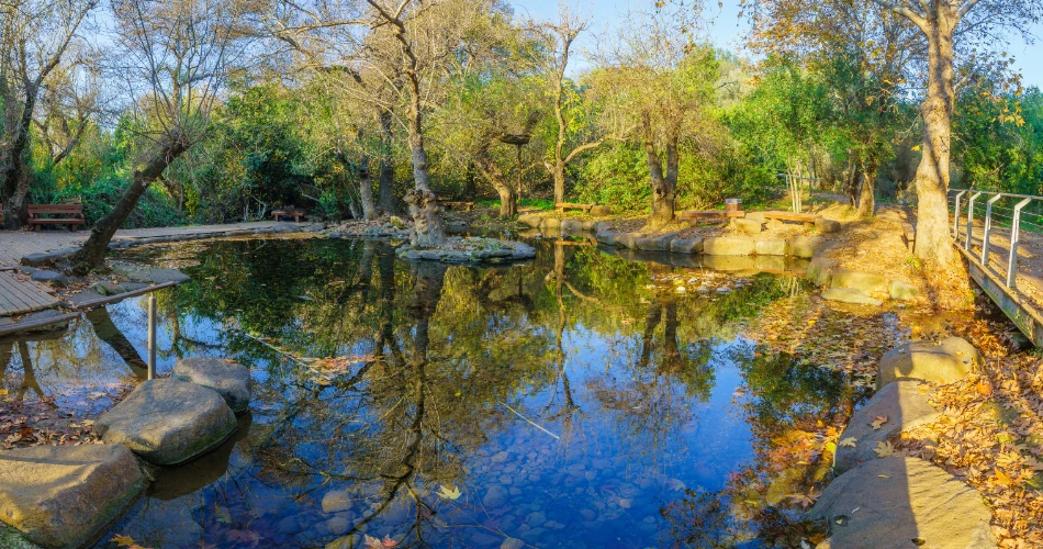 From Camels to Falcons: Traditional Wildlife Encounters in Kuwait
