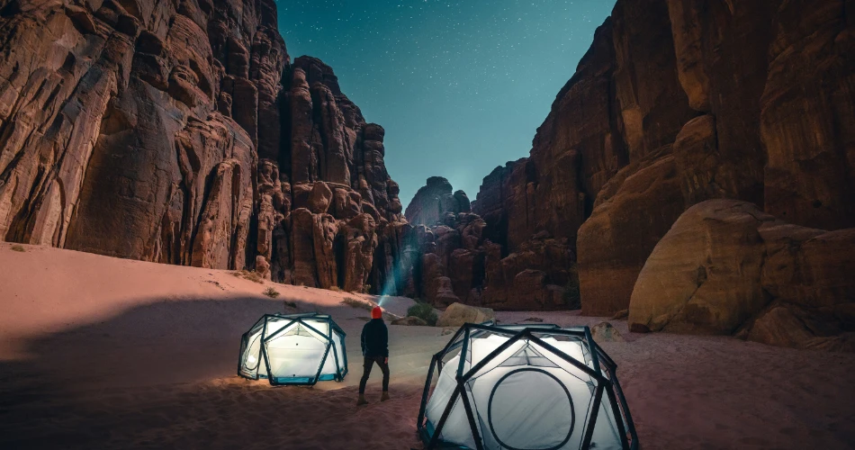 沙漠植物与动物。探索科威特的自然面貌